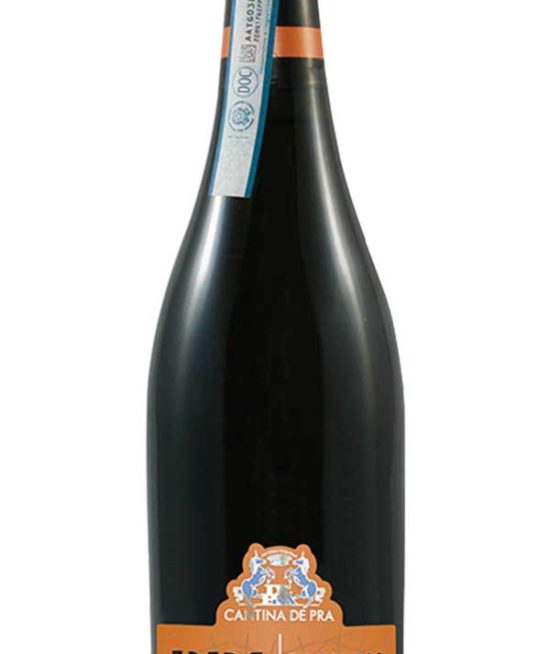 Prosecco DOC Treviso Frizzante