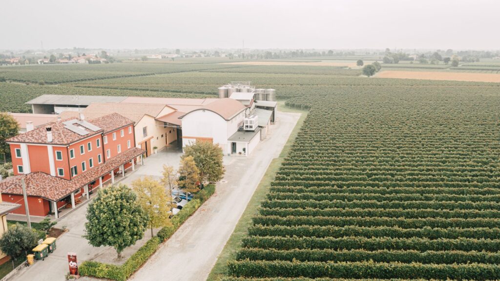 Azienda Vinicola De Pra